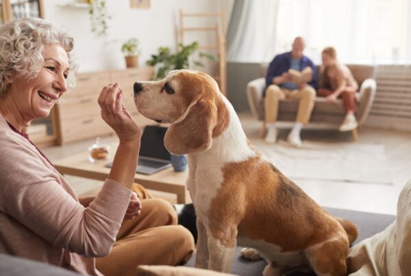 Seniors enjoying time with pets