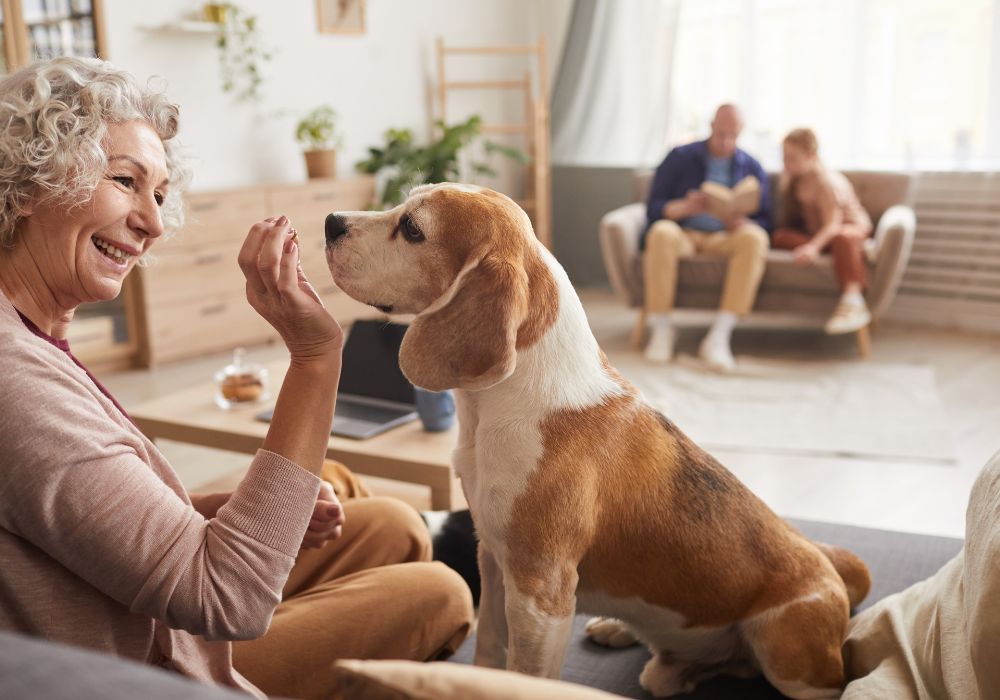 How Pets Can Improve Emotional Health in Seniors: Companionship and Care