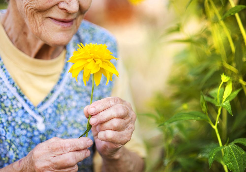 Gardening for Seniors: Therapeutic Benefits and Safe Practices